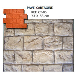 Pavè Cartagine